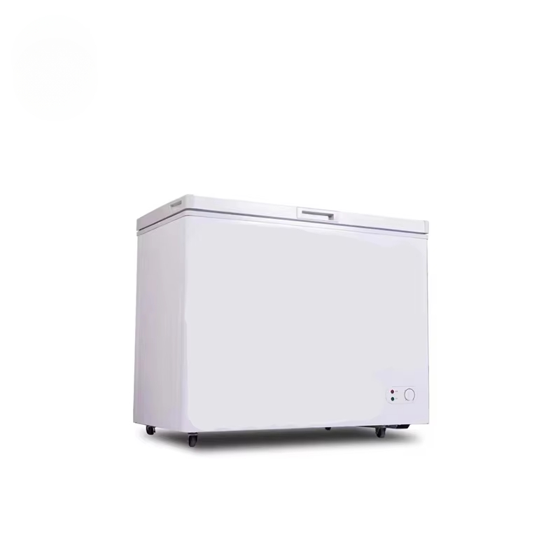 Commercial Chest Freezer - 100~300 Liter Kapasitas Kecil Komersial Horizontal