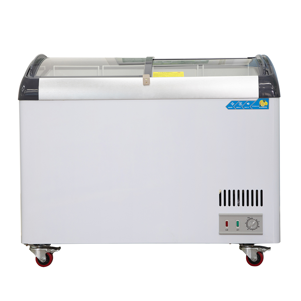 Pintu Geser Freezer Komersial  - Commercial Chest Freezer ulasan dan harga