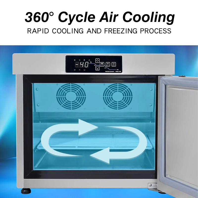 Freezer Makanan Laut Cepat Bek - Commercial Chest Freezer ulasan dan harga