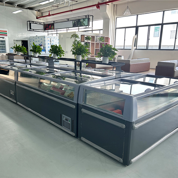 Lemari Pendingin Komersial Tip - Commercial Chest Freezer ulasan dan harga