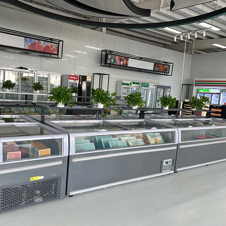 Lemari Pendingin Komersial Tip - Commercial Chest Freezer ulasan dan harga