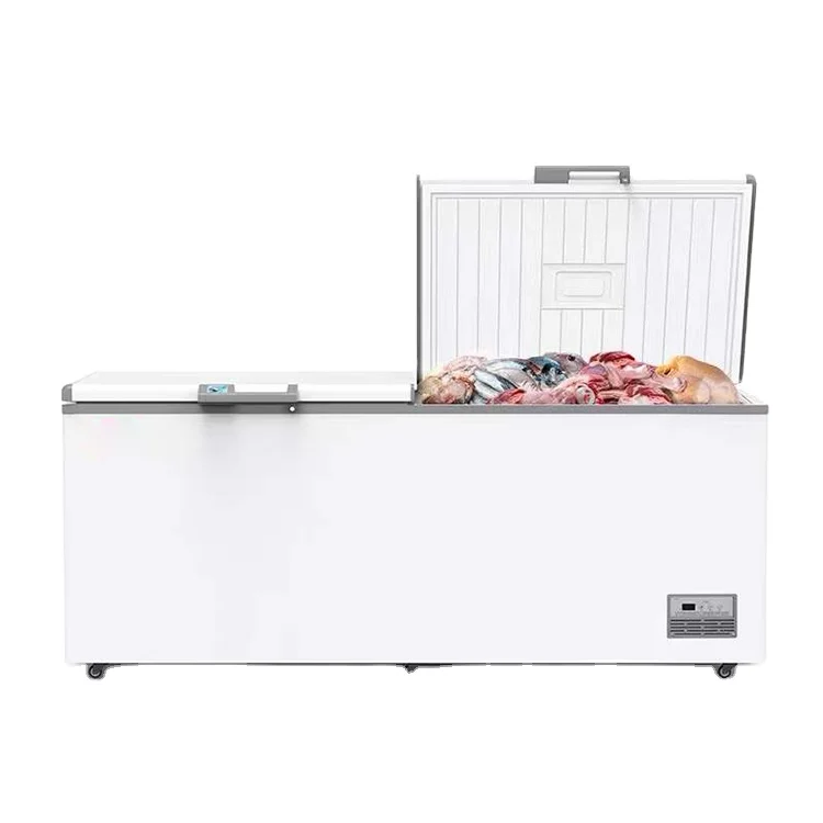 # Freezer Komersial Pabrik Lan - Commercial Chest Freezer ulasan dan harga