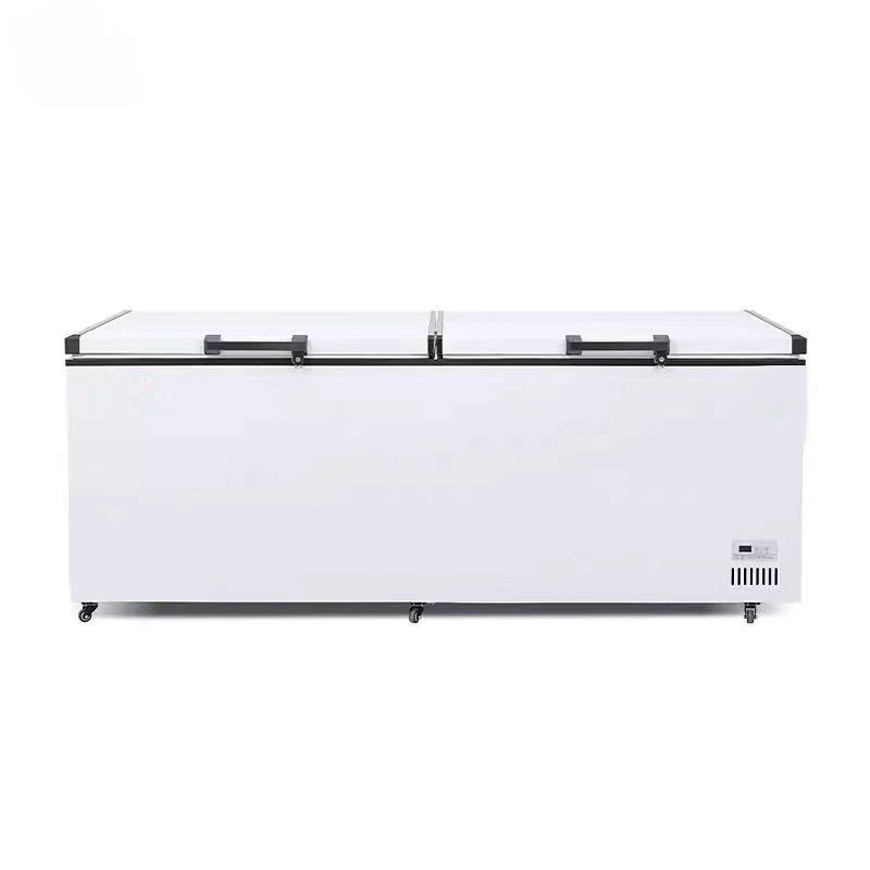 # Freezer Komersial Pabrik Lan - Commercial Chest Freezer ulasan dan harga