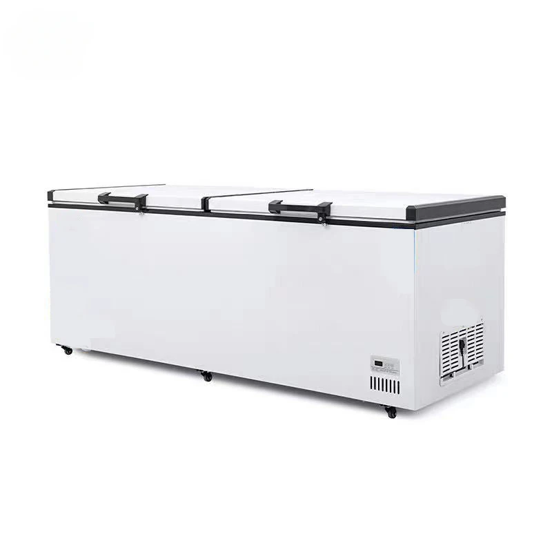 # Freezer Komersial Pabrik Lan - Commercial Chest Freezer ulasan dan harga