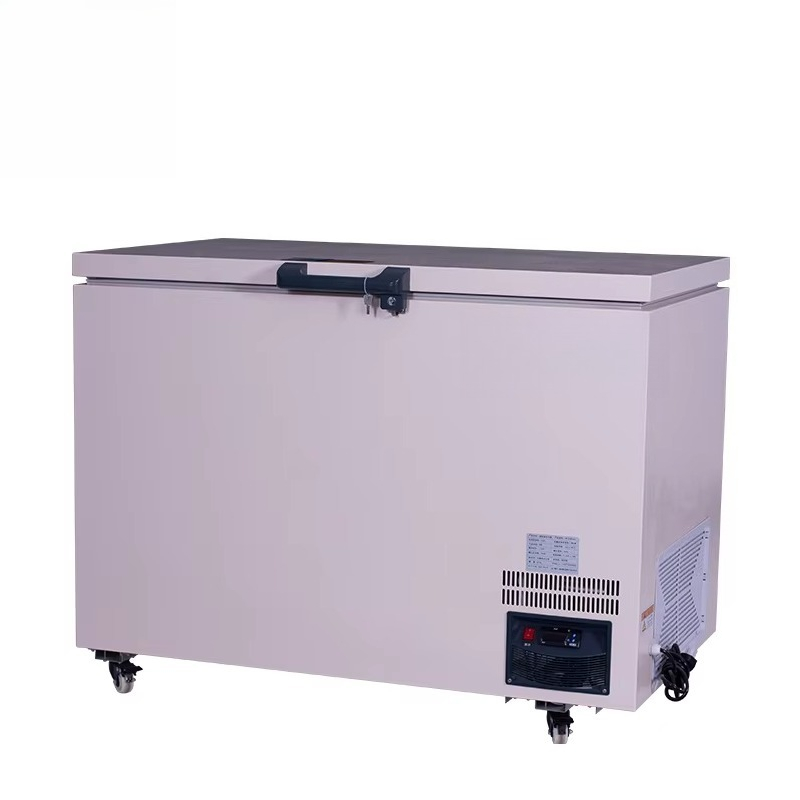 268L -60 ℃   Freezer Dada Suhu - Commercial Chest Freezer ulasan dan harga