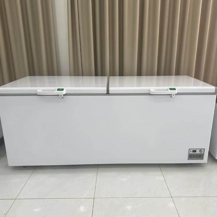 Freezer Komersial 2 Pintu Baru - Commercial Chest Freezer ulasan dan harga