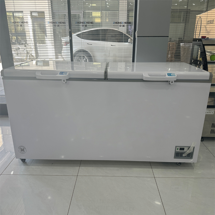 Freezer Komersial 2 Pintu Baru - Commercial Chest Freezer ulasan dan harga
